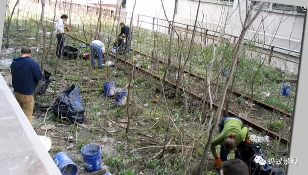 如何成為一名景觀設計師（上）