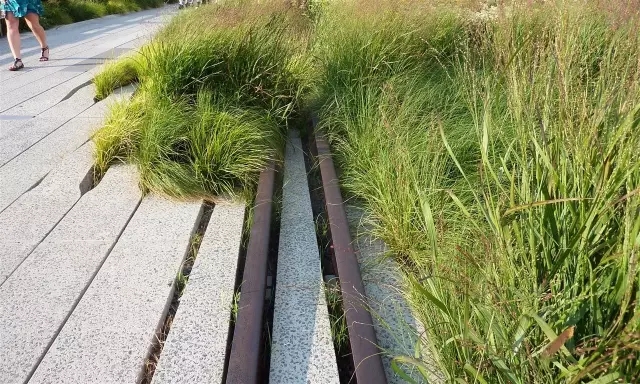 高線公園為什么兩奪asla大獎？