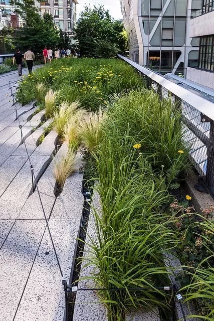 高線公園為什么兩奪asla大獎？