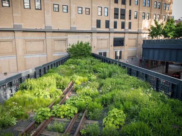 高線公園為什么兩奪asla大獎？