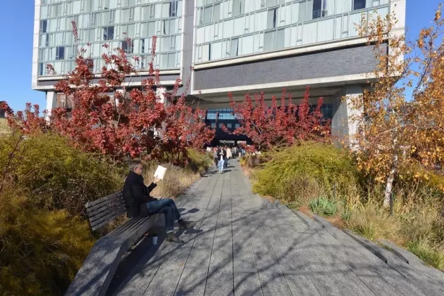 高線公園為什么兩奪asla大獎？