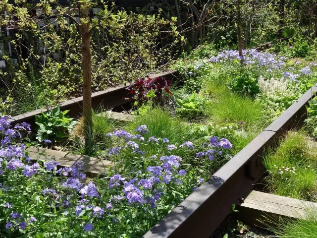 關于城市復興高線公園的啟示