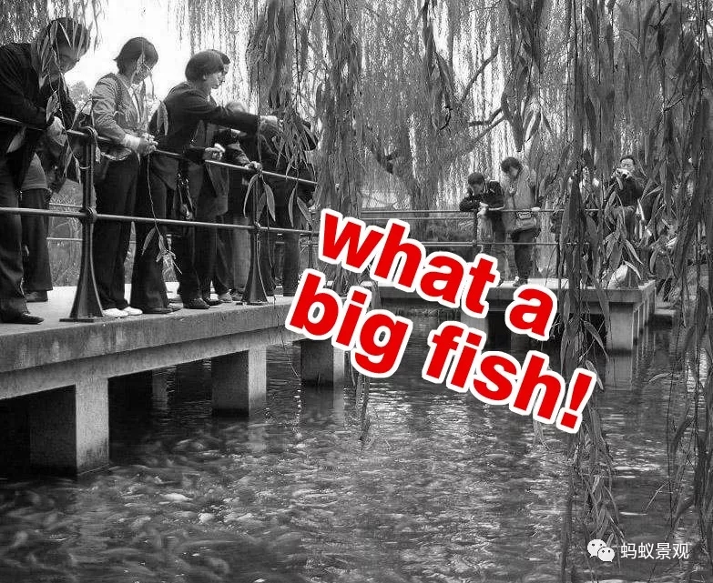 留園技術詳解手冊（上篇）