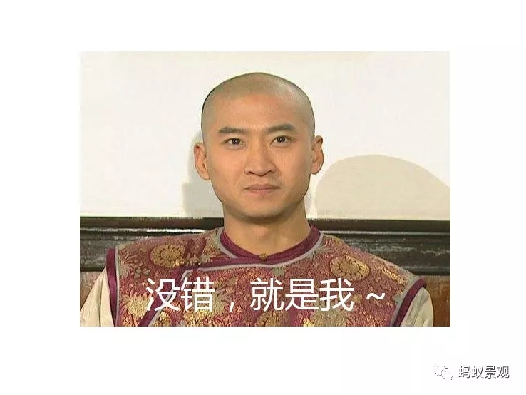 留園技術詳解手冊（上篇）