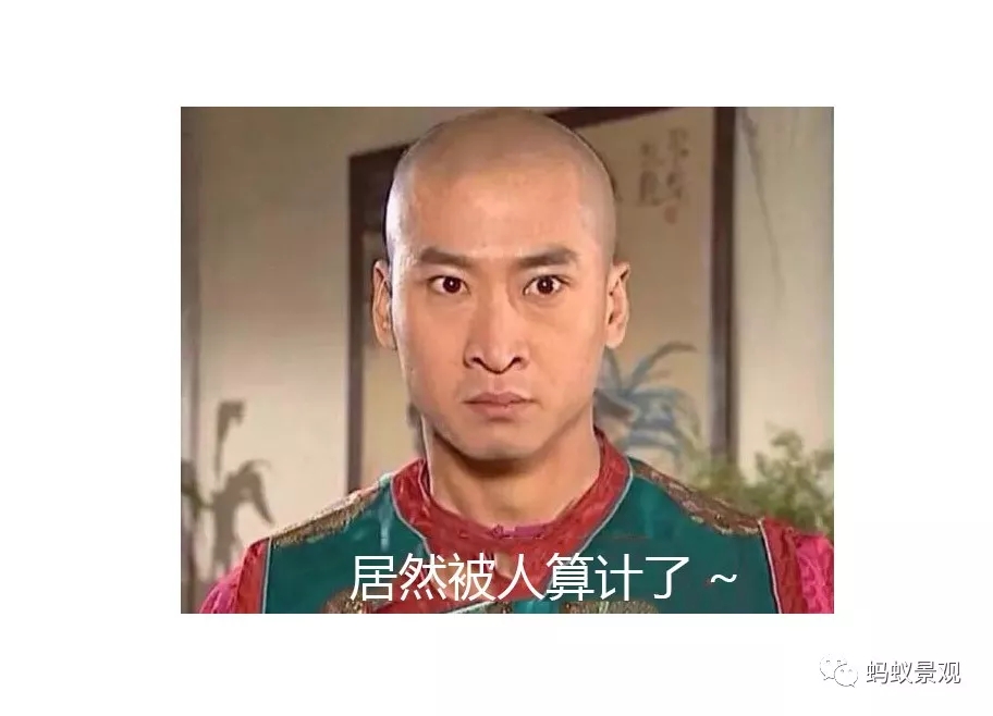 留園技術詳解手冊（上篇）