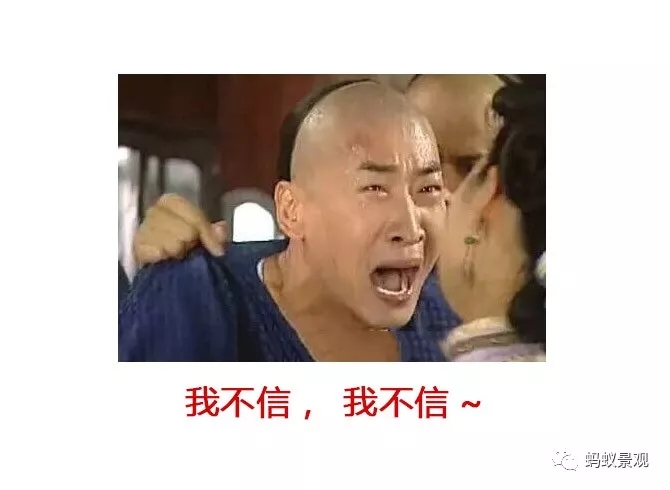 留園技術詳解手冊（上篇）