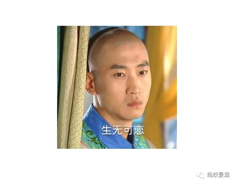 留園技術詳解手冊（上篇）