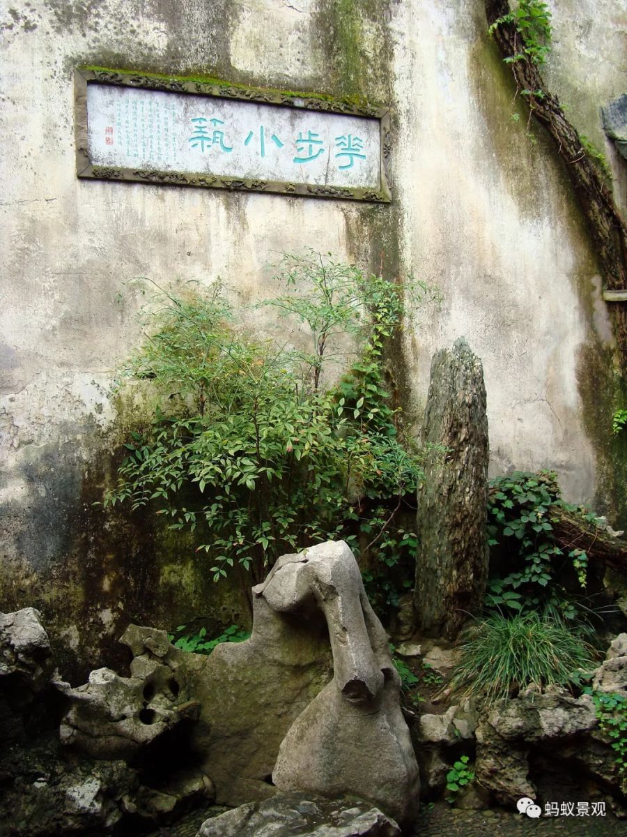 留園技術詳解手冊（上篇）