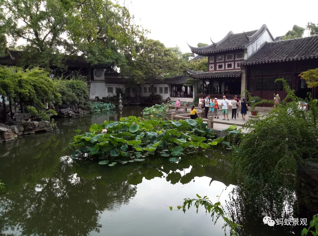 留園技術詳解手冊（上篇）