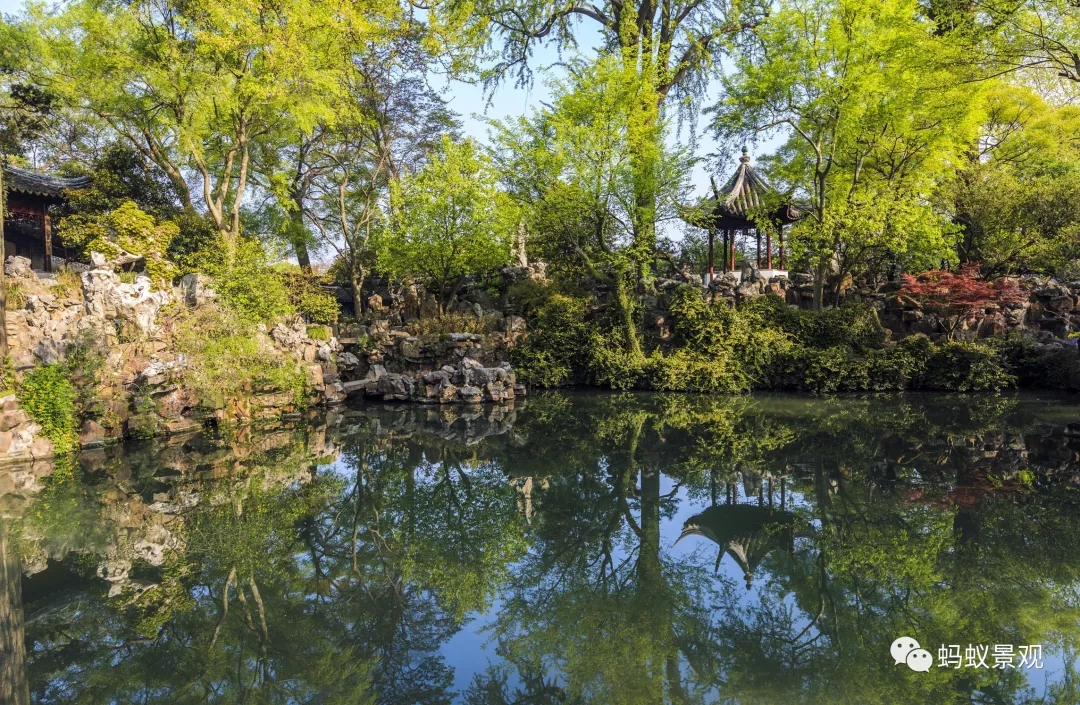 留園技術詳解手冊（上篇）