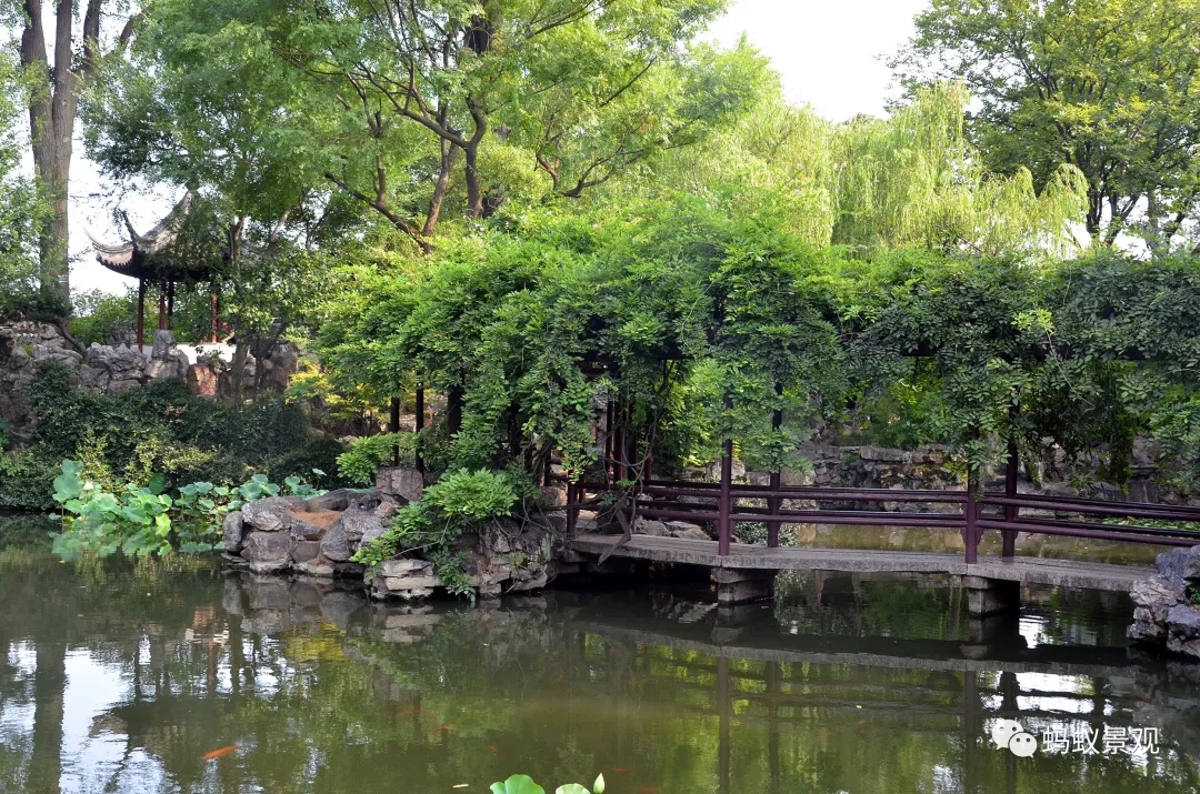 留園技術詳解手冊（上篇）