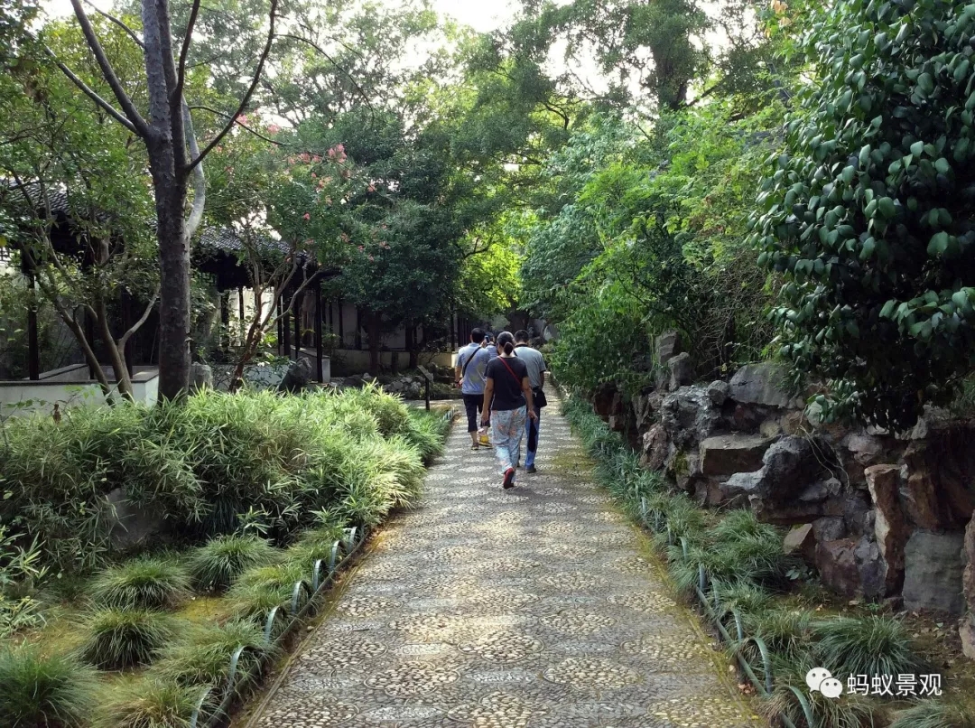 留園技術詳解手冊（上篇）