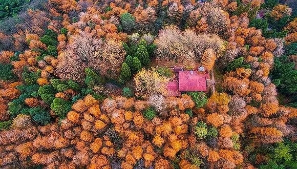 評論:從莫干山民宿發展看中國旅游投資問題