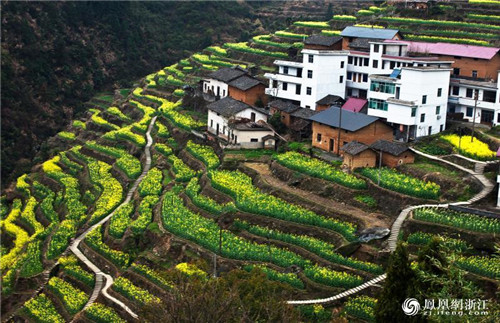 開化亮出生物多樣性調查雄厚“家底”