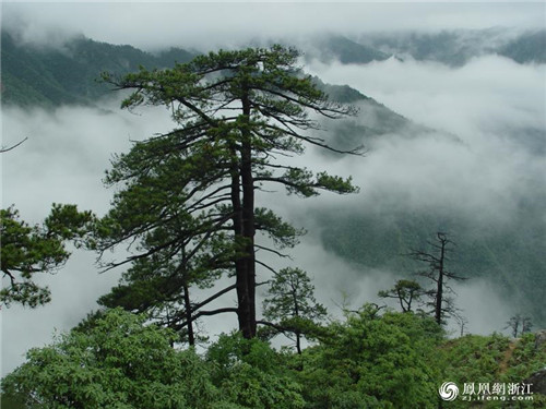 開化亮出生物多樣性調查雄厚“家底”
