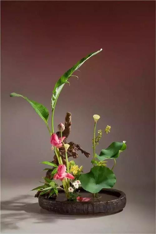 中式插花的“天道”與“地理”