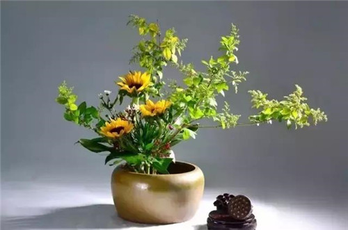 中式插花的“天道”與“地理”