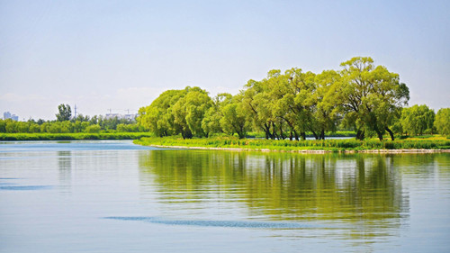 正和恒基王殊:風景園林創新源于與專業整合