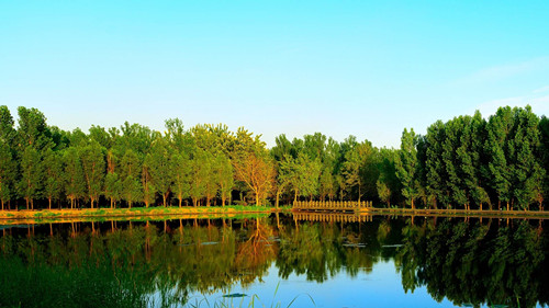 正和恒基王殊:風景園林創新源于與專業整合