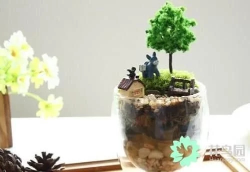 生動綠意場景：家庭微景觀設計