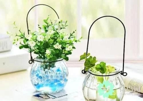 生動綠意場景：家庭微景觀設計