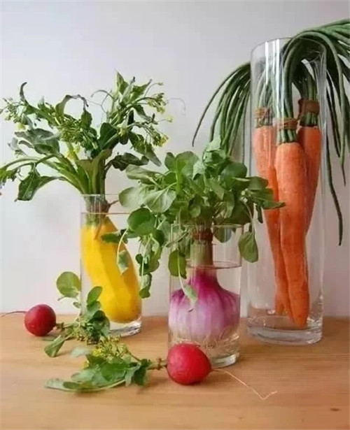 蔬菜水果插花,你不知道的美