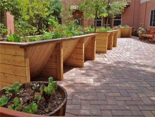 康復(fù)花園設(shè)計成功的關(guān)鍵