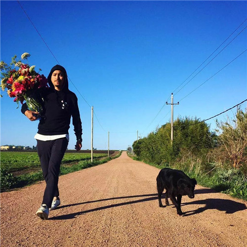 日本人對于瀕危植物的關(guān)注度遠(yuǎn)高于櫻花