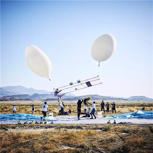 日本人對于瀕危植物的關(guān)注度遠(yuǎn)高于櫻花