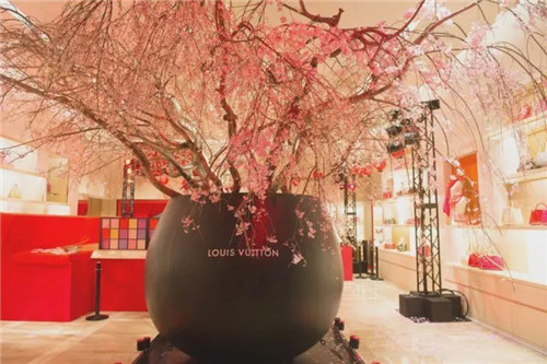 日本人對于瀕危植物的關(guān)注度遠(yuǎn)高于櫻花