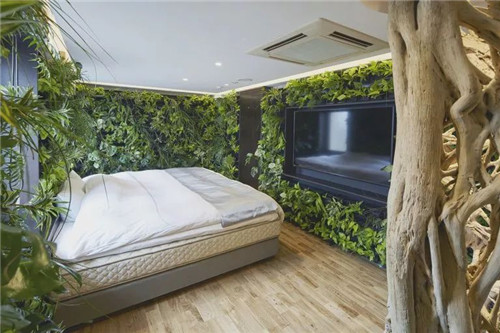 日本人對于瀕危植物的關(guān)注度遠(yuǎn)高于櫻花