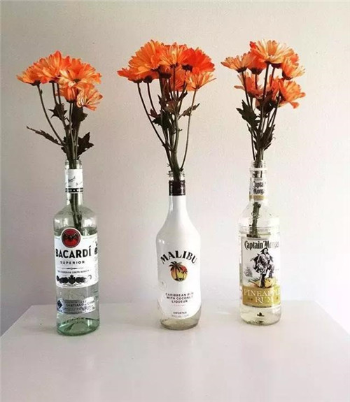 誰說養(yǎng)花插花一定得用花瓶？