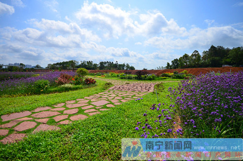 南寧園博園八大景觀 生態多樣富有自然野趣