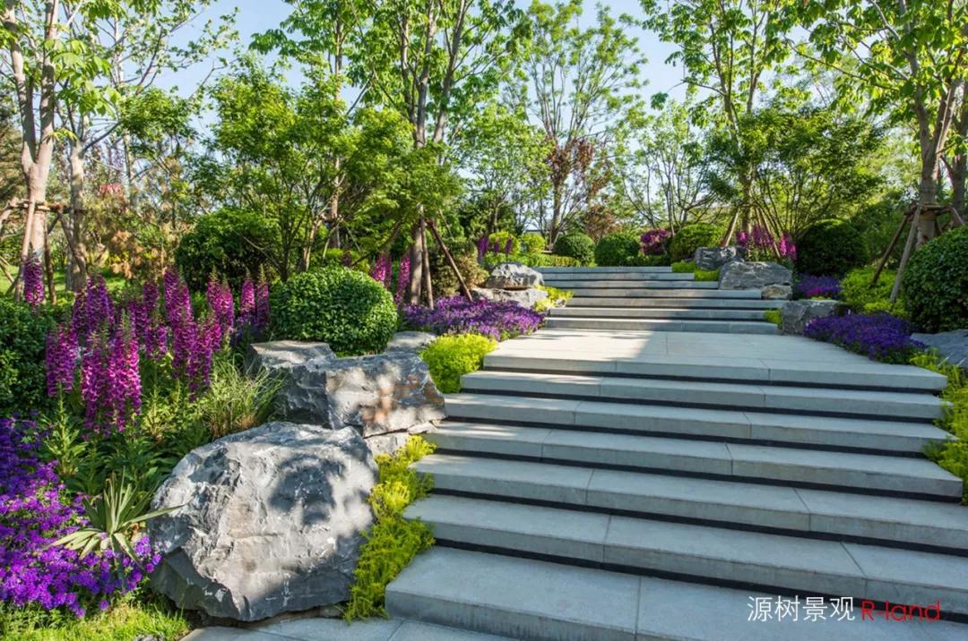 天成嶺秀 :時(shí)尚奢雅,宛若天成的極致解讀