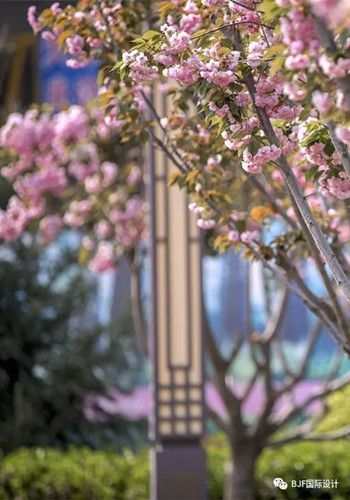 【理事專欄】BJF(寶佳豐)作品:中昂安納西小鎮(zhèn)