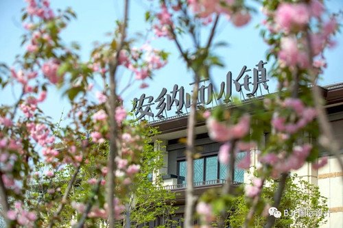 【理事專欄】BJF(寶佳豐)作品:中昂安納西小鎮(zhèn)