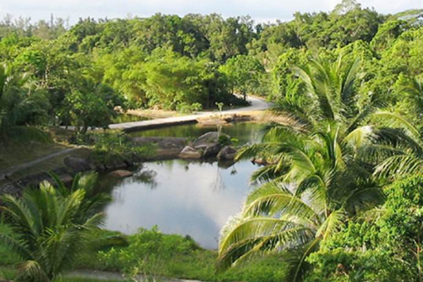 研究發現地球總質量植物最高,人類比重極低