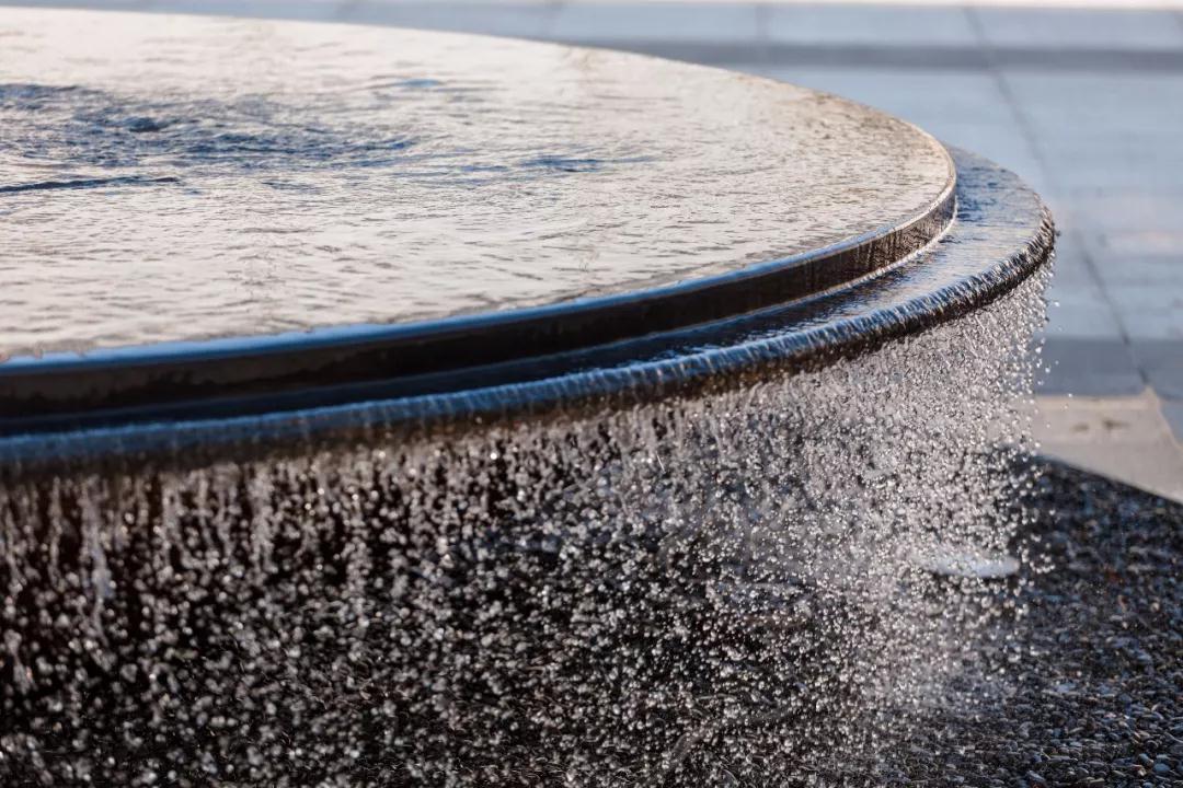 有的魚(yú)是永遠(yuǎn)都關(guān)不住的 | 公元2040