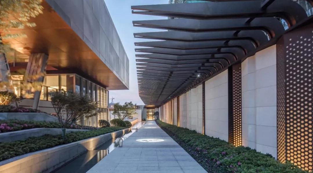 有的魚(yú)是永遠(yuǎn)都關(guān)不住的 | 公元2040