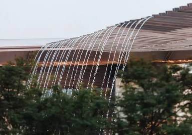 有的魚(yú)是永遠(yuǎn)都關(guān)不住的 | 公元2040