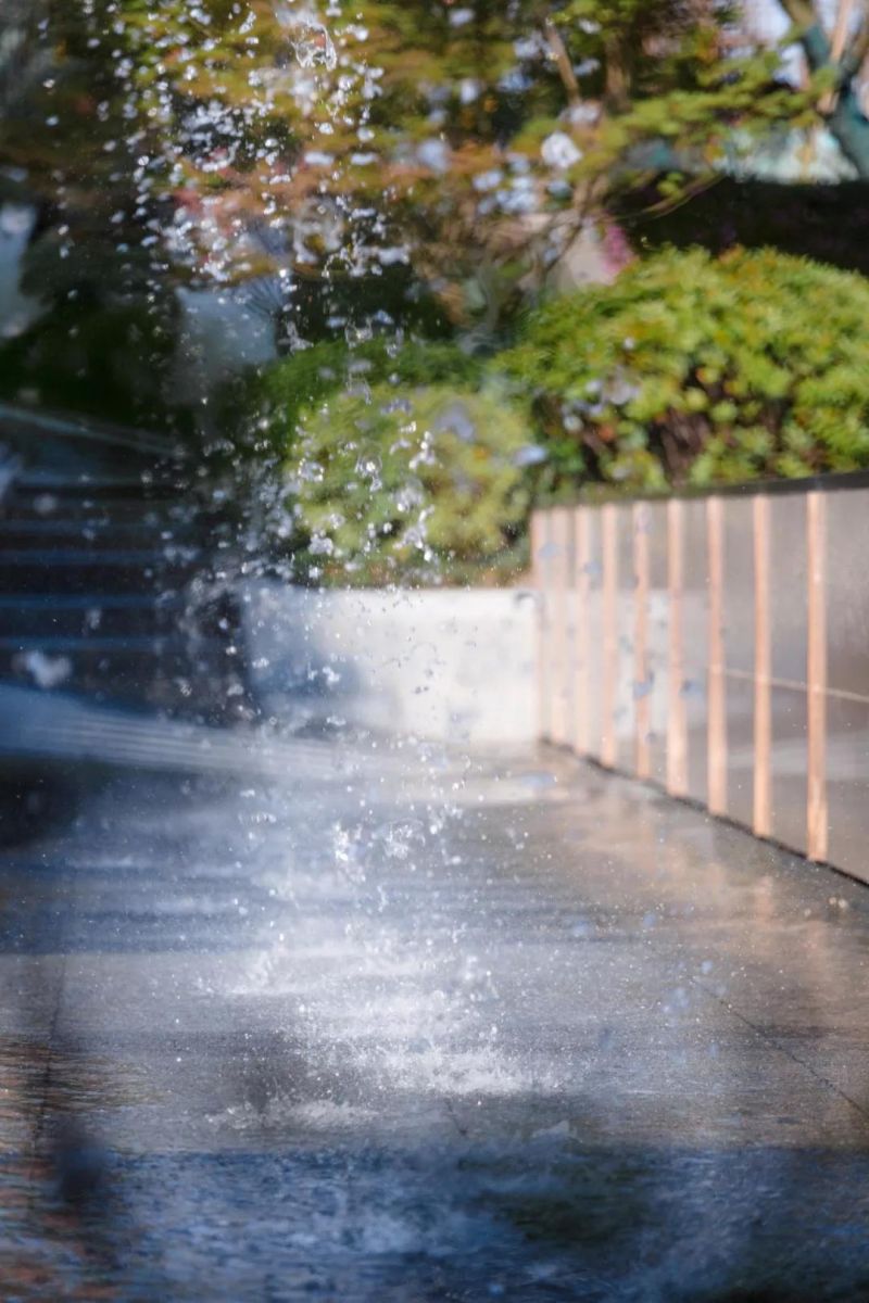 有的魚(yú)是永遠(yuǎn)都關(guān)不住的 | 公元2040