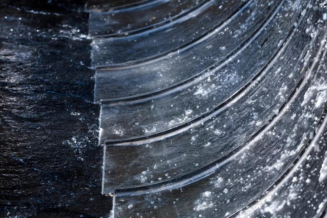 有的魚(yú)是永遠(yuǎn)都關(guān)不住的 | 公元2040