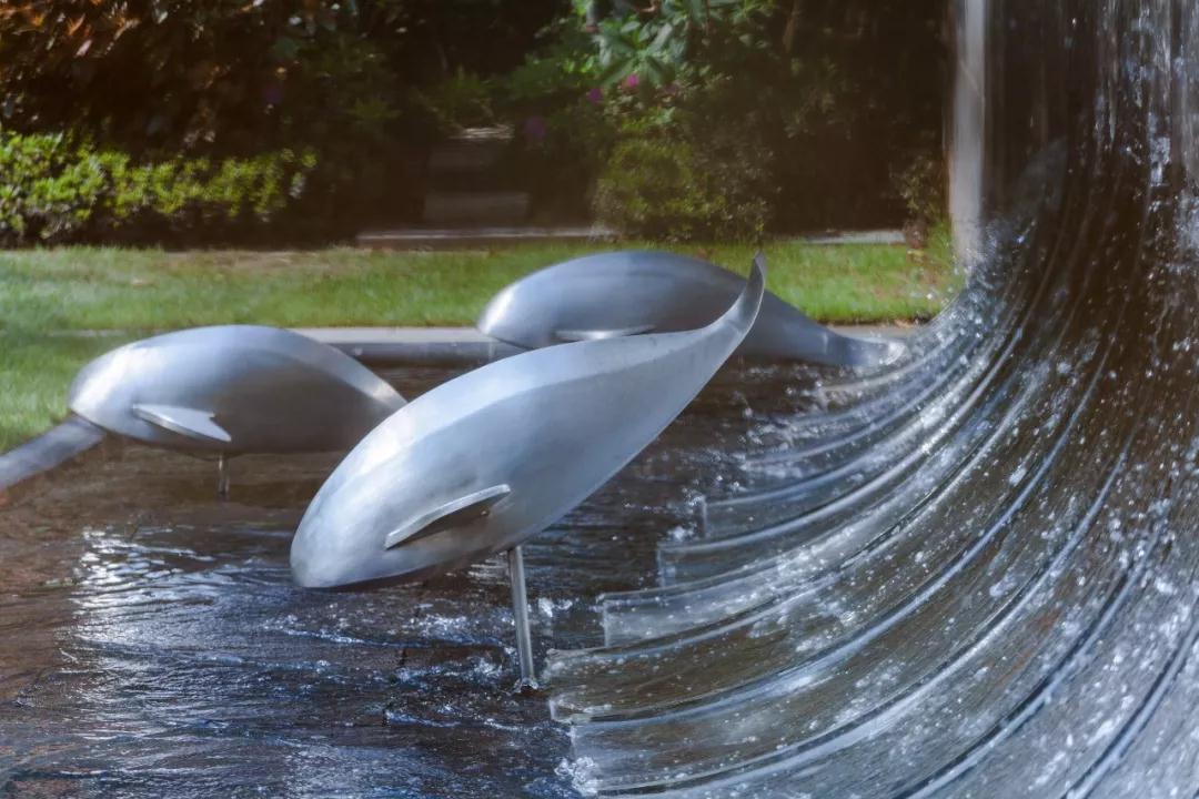 有的魚(yú)是永遠(yuǎn)都關(guān)不住的 | 公元2040