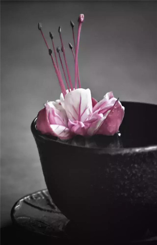 插花入瓶,生活在野