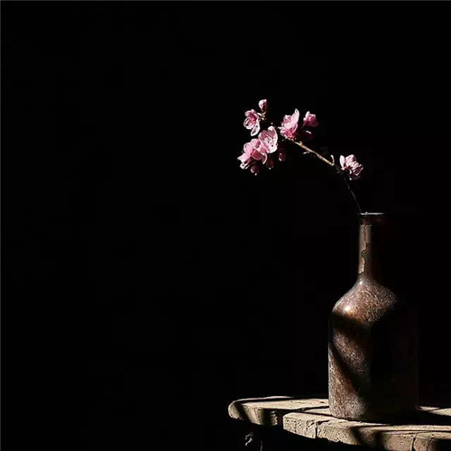 插花入瓶,生活在野