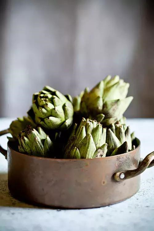 插花入瓶,生活在野