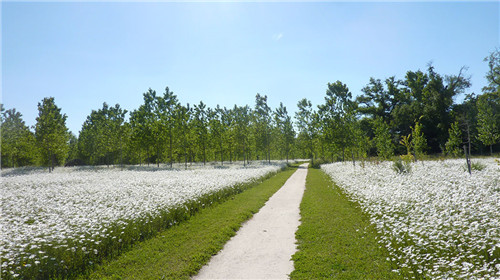 法國加龍河岸佩利西斯自然公園