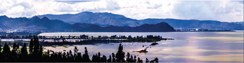 清控人居王欣訪談:做有生命的景觀