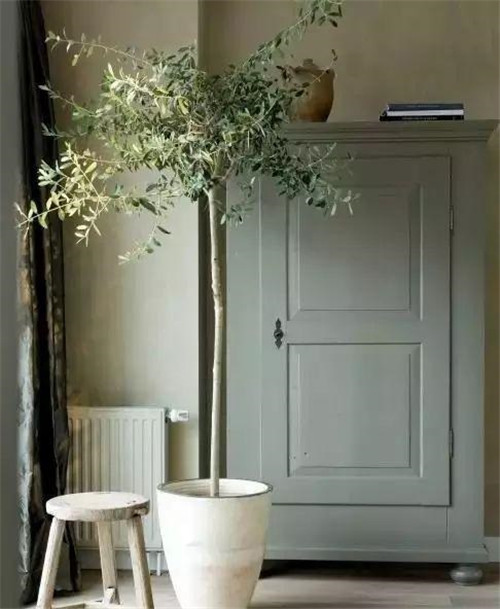 這樣插花,即使花謝了屋子依然會很美