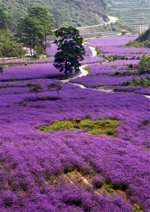 荔波樟江風景名勝區(qū)——中國的超級盆景